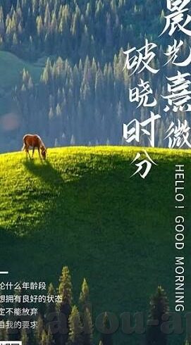 蜜臀av在线播放一区二区三区-探索网络世界的边界，网络直播与内容消费的多元视角